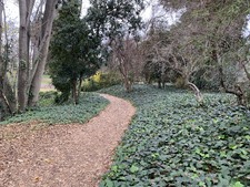 Enlarge photo 40