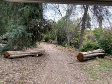 Enlarge photo 41