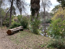Enlarge photo 42