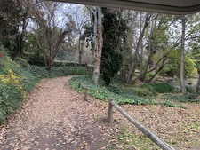 Enlarge photo 43
