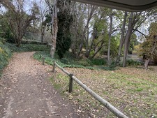 Enlarge photo 44