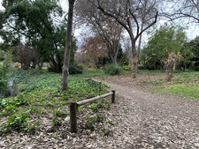 Enlarge photo 45