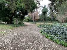 Enlarge photo 46