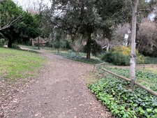 Enlarge photo 47