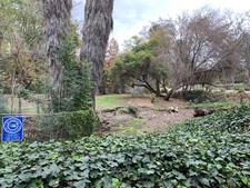Enlarge photo 48