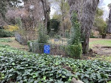 Enlarge photo 49