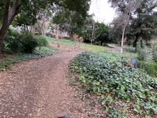 Enlarge photo 50