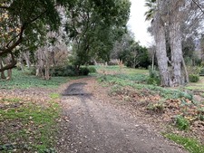 Enlarge photo 51