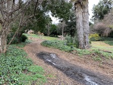 Enlarge photo 52