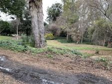 Enlarge photo 53