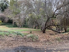 Enlarge photo 54