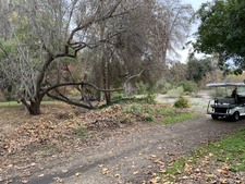 Enlarge photo 55