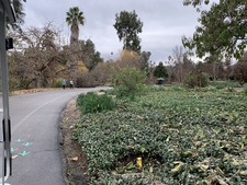 Enlarge photo 57