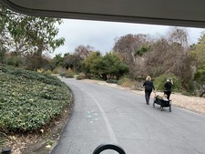 Enlarge photo 58