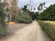 Enlarge photo 59
