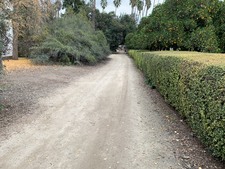 Enlarge photo 60