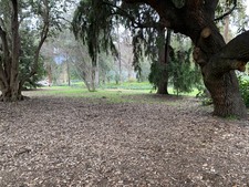 Enlarge photo 62