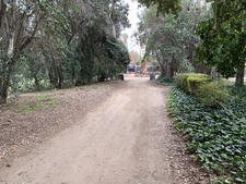 Enlarge photo 64