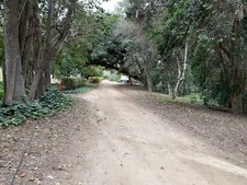 Enlarge photo 67