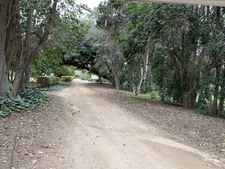 Enlarge photo 68