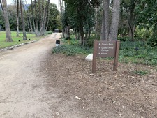 Enlarge photo 71