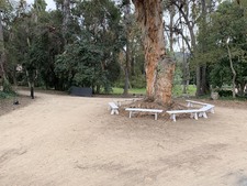 Enlarge photo 72