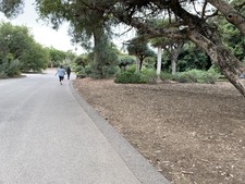 Enlarge photo 79