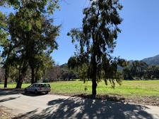 Enlarge photo 17
