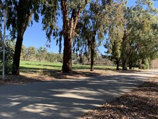 Enlarge photo 28