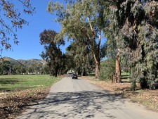 Enlarge photo 29