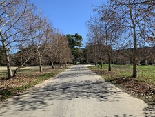 Enlarge photo 30
