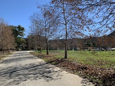 Enlarge photo 34