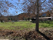 Enlarge photo 35