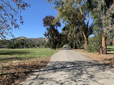 Enlarge photo 37