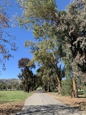 Enlarge photo 38