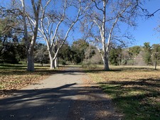 Enlarge photo 39
