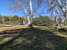 Enlarge photo 40