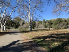 Enlarge photo 41