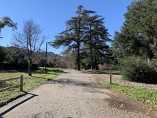 Enlarge photo 44