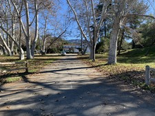 Enlarge photo 45