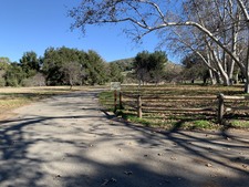 Enlarge photo 46