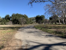 Enlarge photo 47