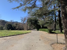 Enlarge photo 48