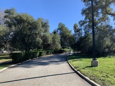 Enlarge photo 49