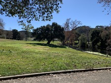Enlarge photo 52