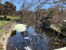 Enlarge photo 58