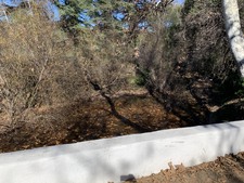 Enlarge photo 59