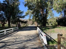 Enlarge photo 63