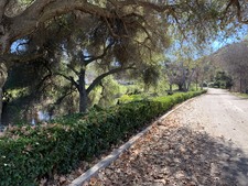 Enlarge photo 71