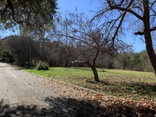 Enlarge photo 72